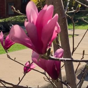 Meet your Posher, Kyajah